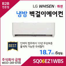 LG휘센 6평형 벽걸이에어컨 SQ06EZ1WBS