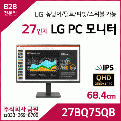 LG전자 27인치 LED 모니터 27BQ75QB