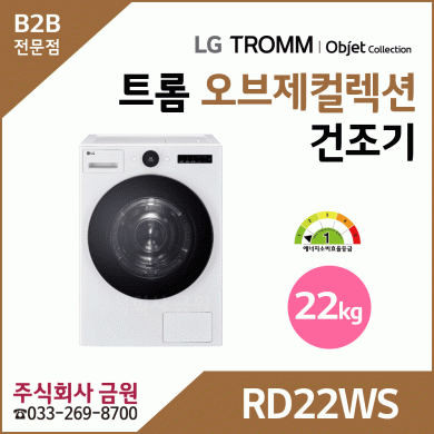 LG 트롬 22kg 전기식 건조기 RD22WS