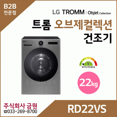 LG 트롬 22kg 전기식 건조기 RD22VS