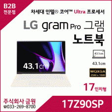 LG 그램 Pro 노트북 17Z90SP